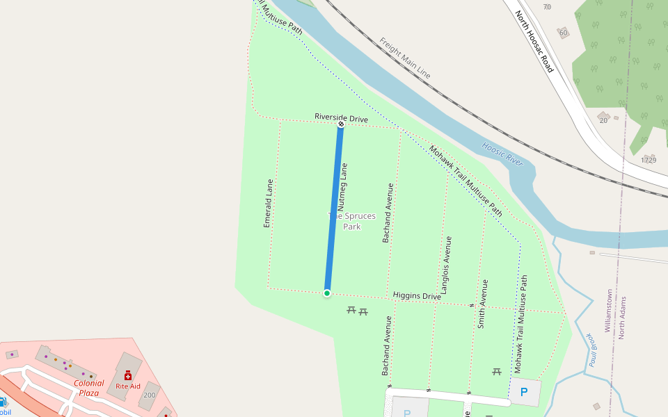 Nutmeg Lane