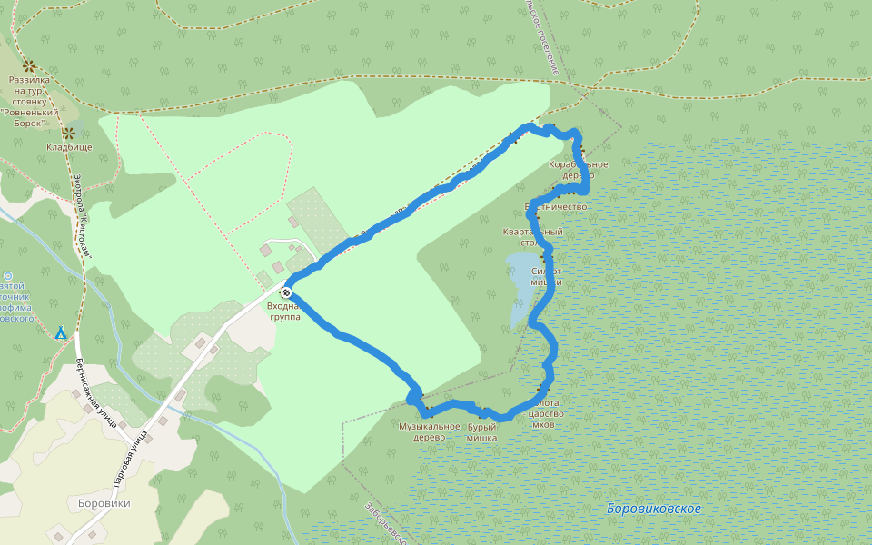 Экотропа "В царстве бурого медведя" walking route map in Boroviki
