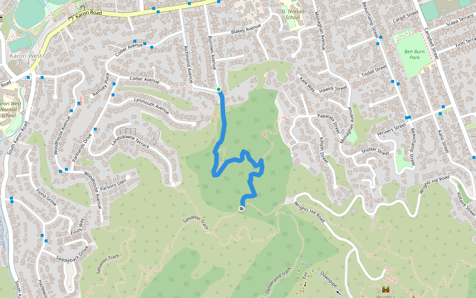 Burrows Ave Track