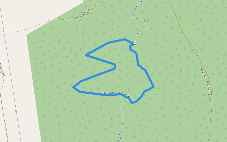 Grey Tilted Square Track walking route map in Trevallyn