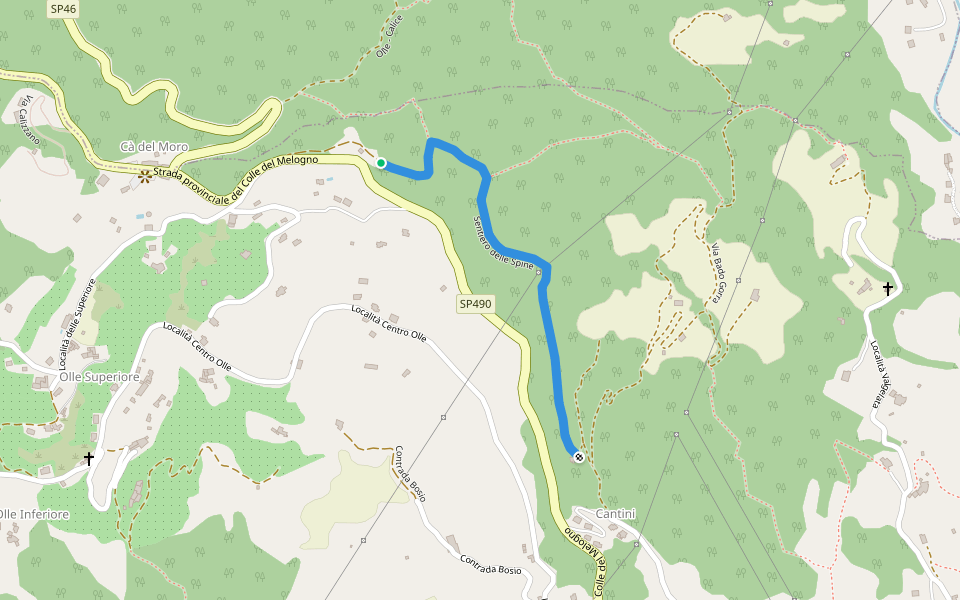 Sentiero delle Spine walking route map in Olle-viotti