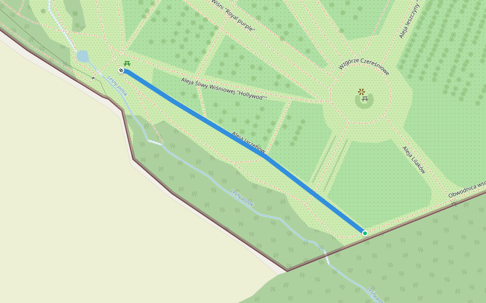 Aleja Jarzębów walking route map in Niemcza