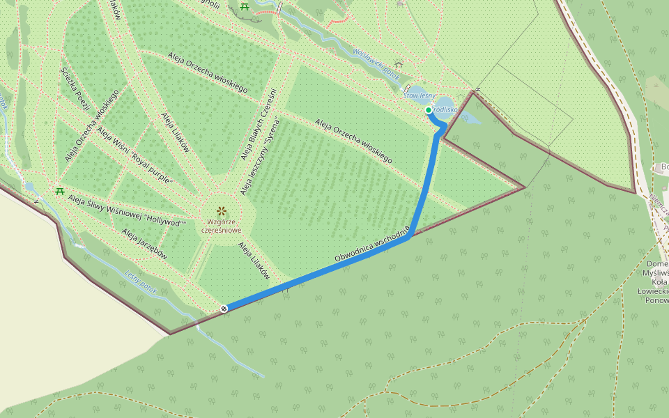 Obwodnica wschodnia walking route map in Niemcza