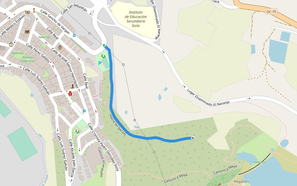 Hacia las garzas walking route map in Guía
