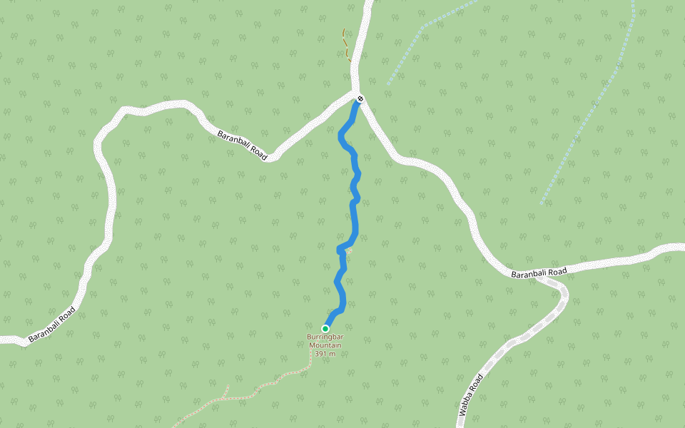 Unofficial Track to Burringbar Mountain Summit walking route map in Burringbar