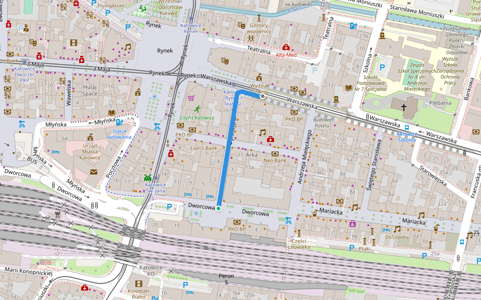 Dyrekcyjna walking route map in Katowice
