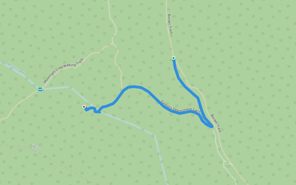 Forestry Department Cairn Track walking route map in O'Reilly