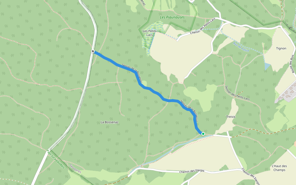 Sentier de la Bossenaz walking route map in Ferreyres
