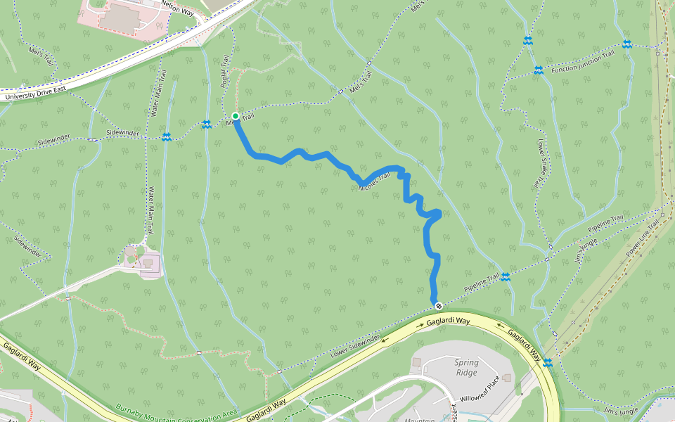 Nicoles Trail