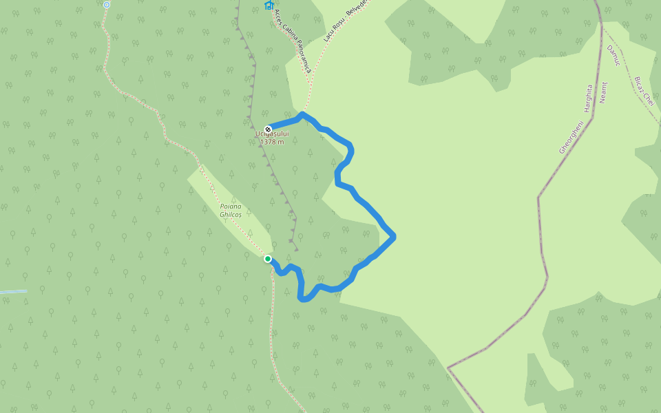 Poiana Ghilcoș - Belvedere Vf. Ucigașului (punct albastru dublu concentric) walking route map in Lacu Roșu