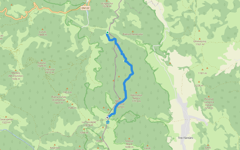 Traseu Lacu Roșu - Poiana Albă (Punct Albastru) walking route map in Lacu Roșu