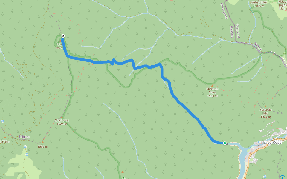 Traseu cruce albastră walking route map in Lacu Roșu