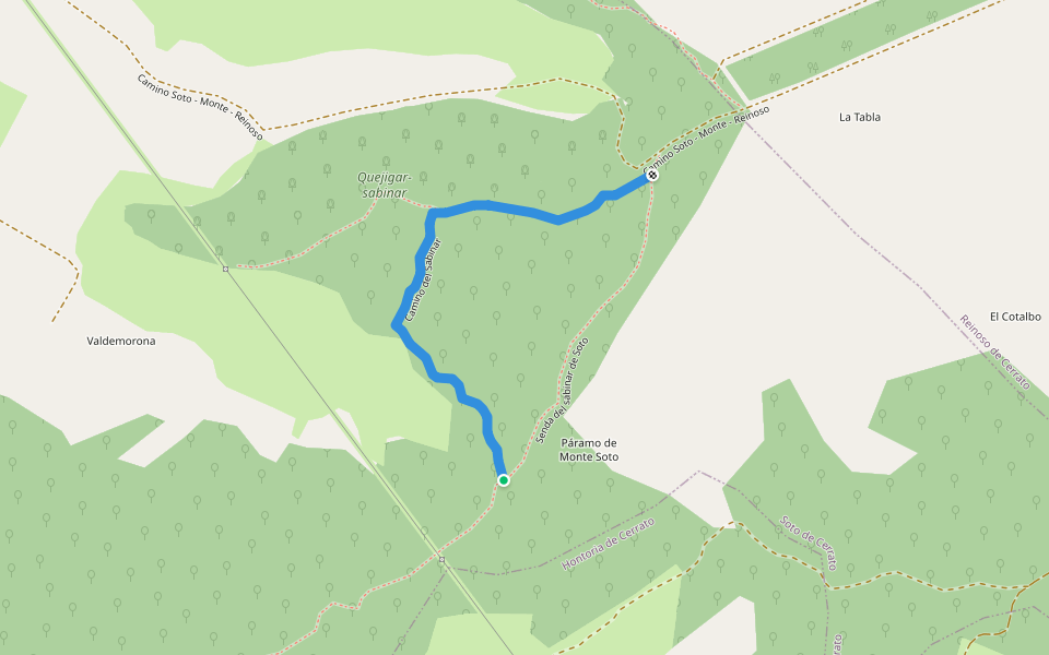 Camino del Sabinar walking route map in Hontoria de Cerrato