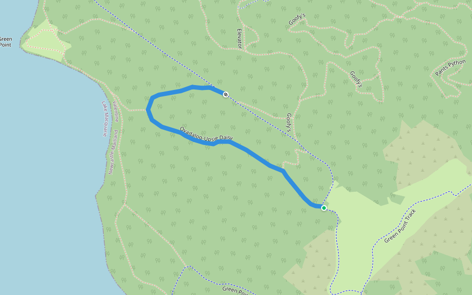 Ovadalog-Upsie Daisy walking route map in Valentine