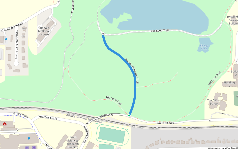 Beatty Wildflower Trail