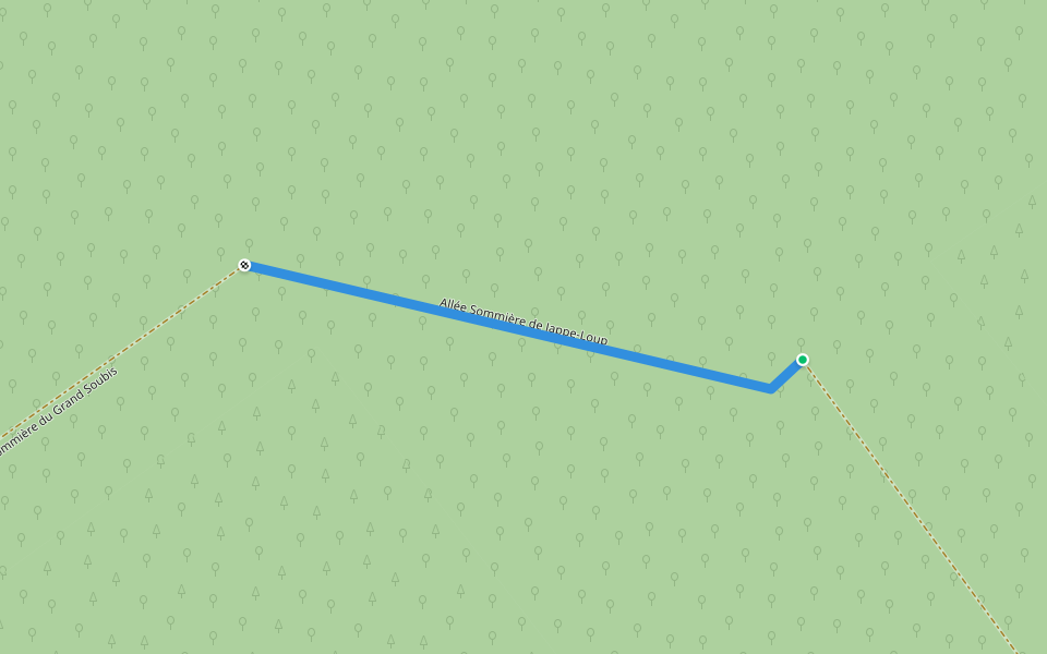 Allée Sommière de Jappe-Loup walking route map in Bonneuil-Matours