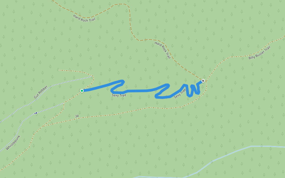 Sexy Tree walking route map in Alsea