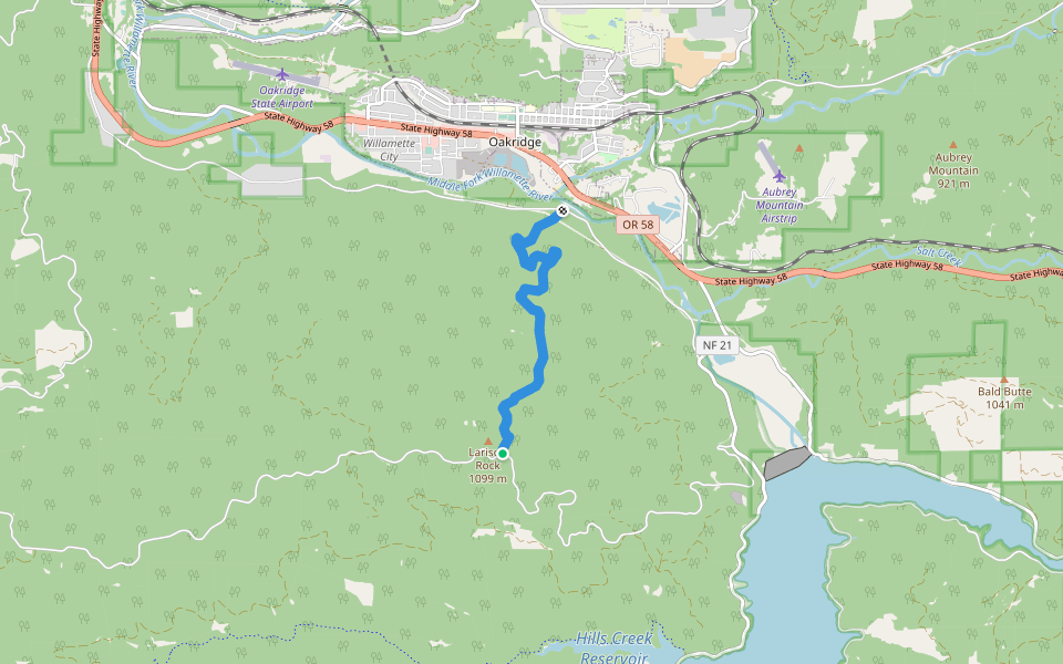 Larison Rock Trail #3607 walking route map in Oakridge