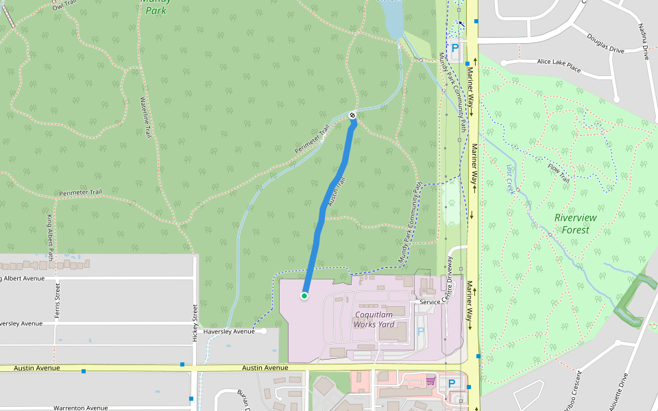 Austin Trail Walking and Running Coquitlam, British Columbia Pacer