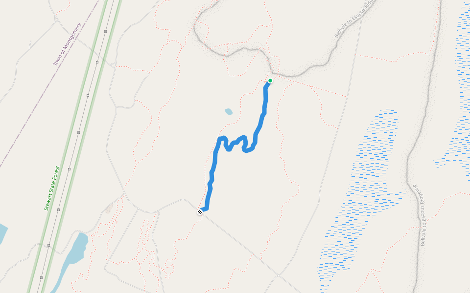 Camp Hiking Trail Rock Tavern, New York Pacer