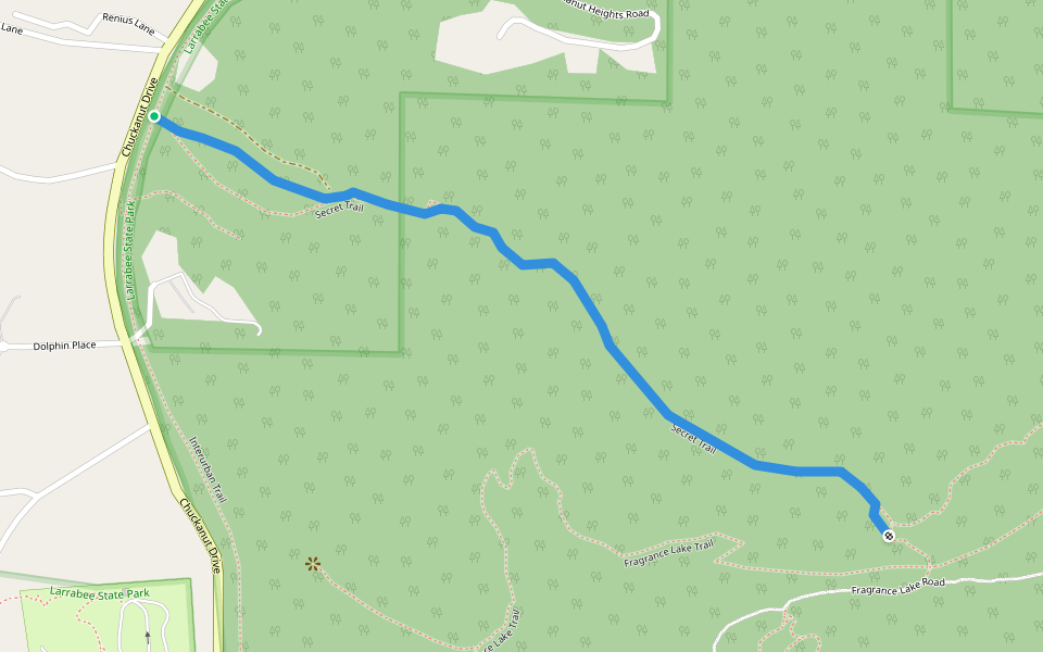 Secret Trail Hiking Bellingham, Washington Pacer