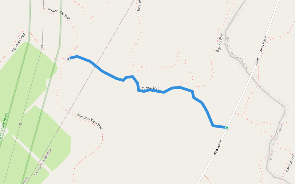 Cactus Trail Walking and Running Rock Tavern, New York Pacer