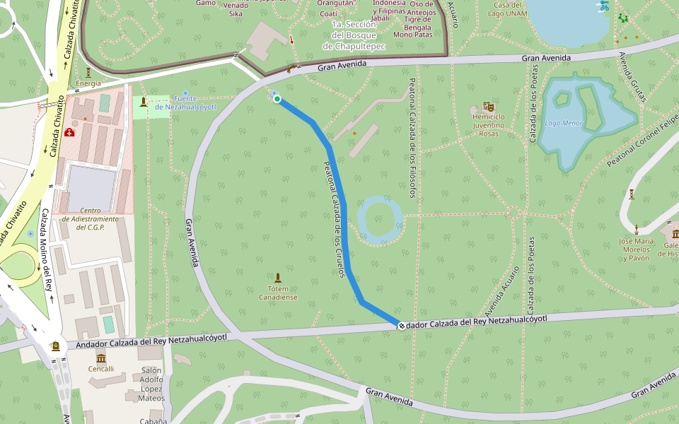 Peatonal Calzada de los Ciruelos