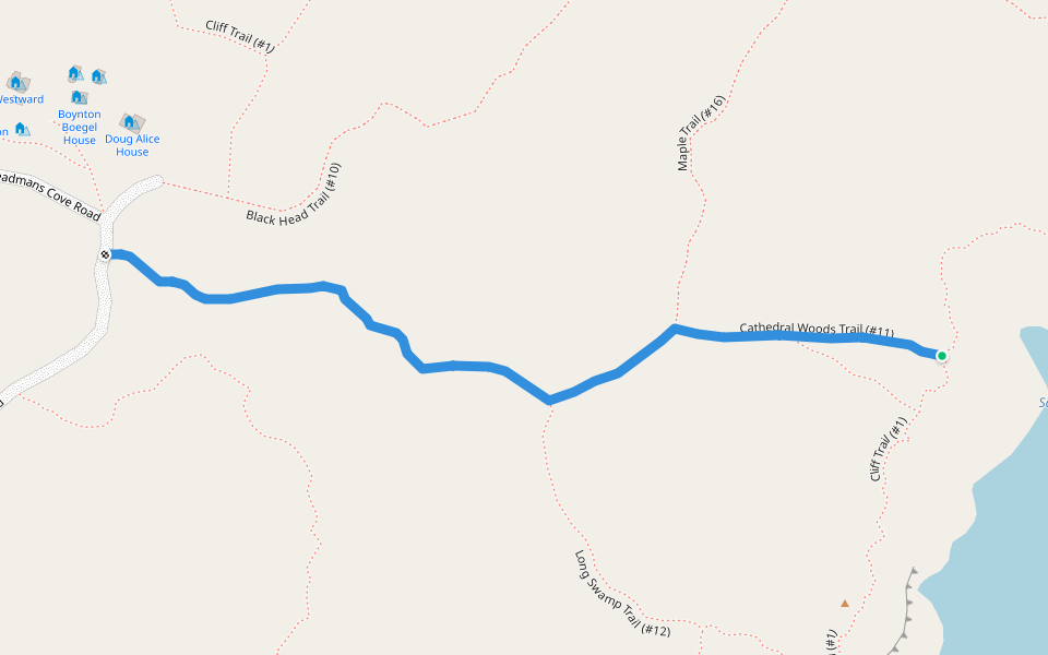 Cathedral Woods Trail (#11) walking route map in Monhegan