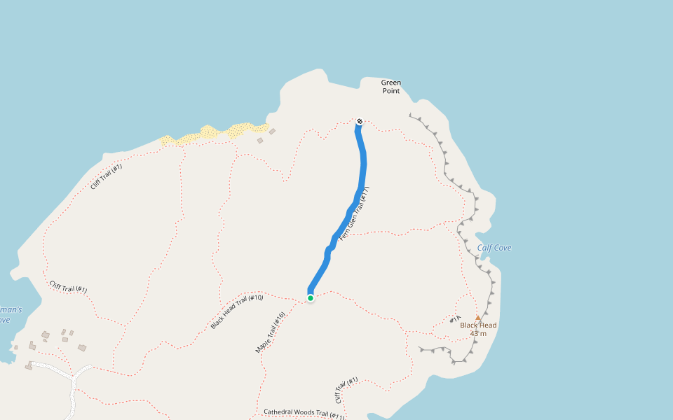 Fern Glen Trail (#17) walking route map in Monhegan