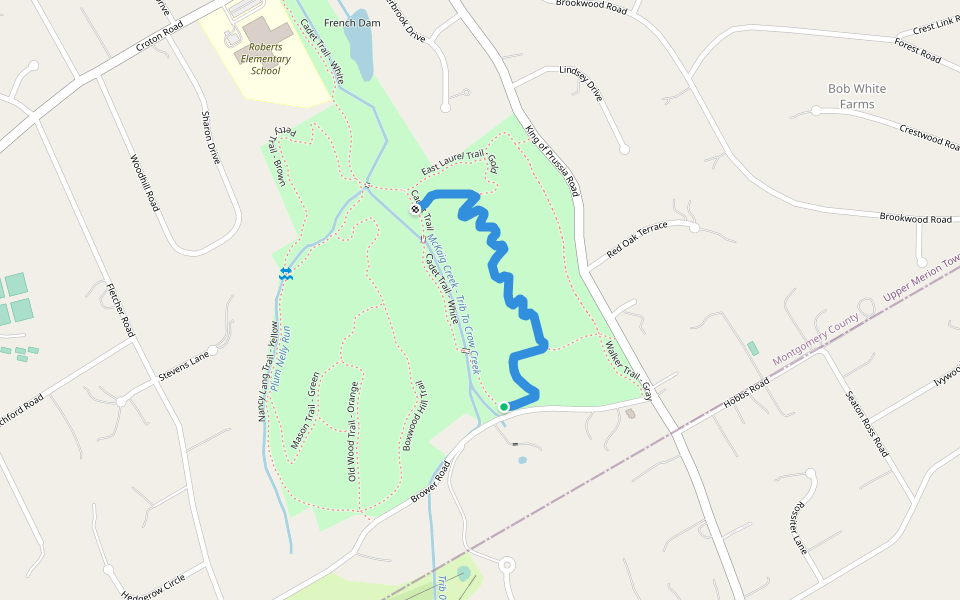 Laurel Trail - Blue walking route map in Wayne