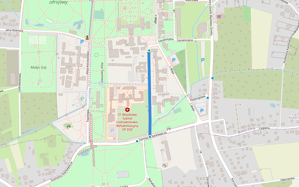 Generała Feliksa Rzewuskiego walking route map in Busko-Zdrój