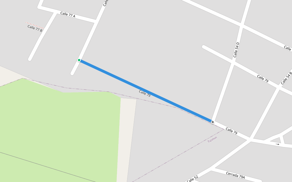 Calle 79 walking route map in Tizimín