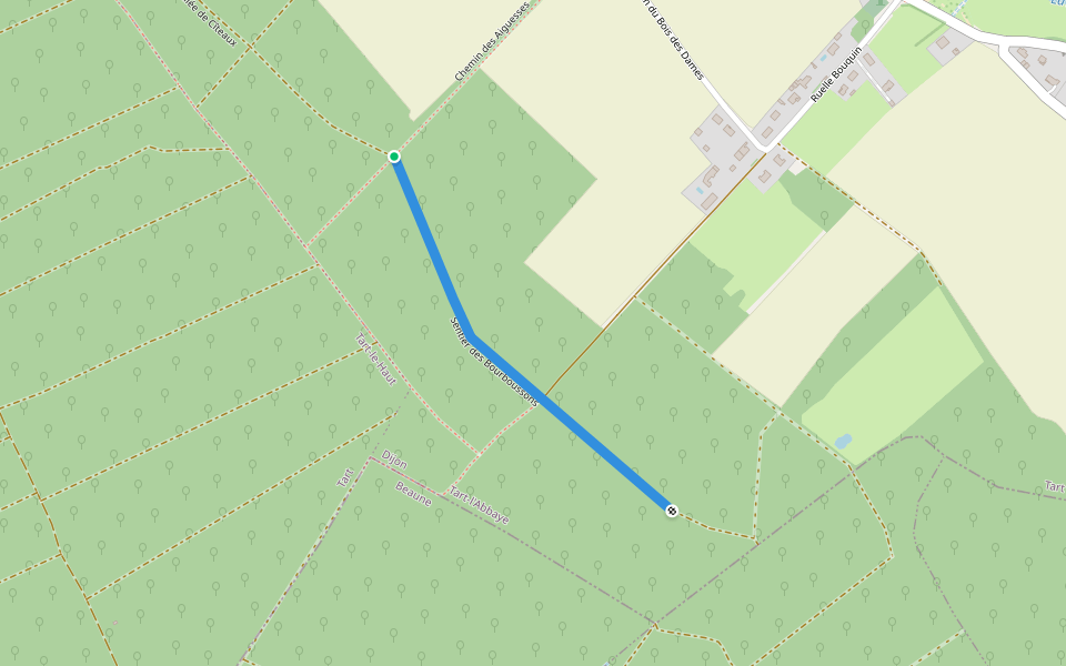 Sentier des Bourboussons walking route map in Tart