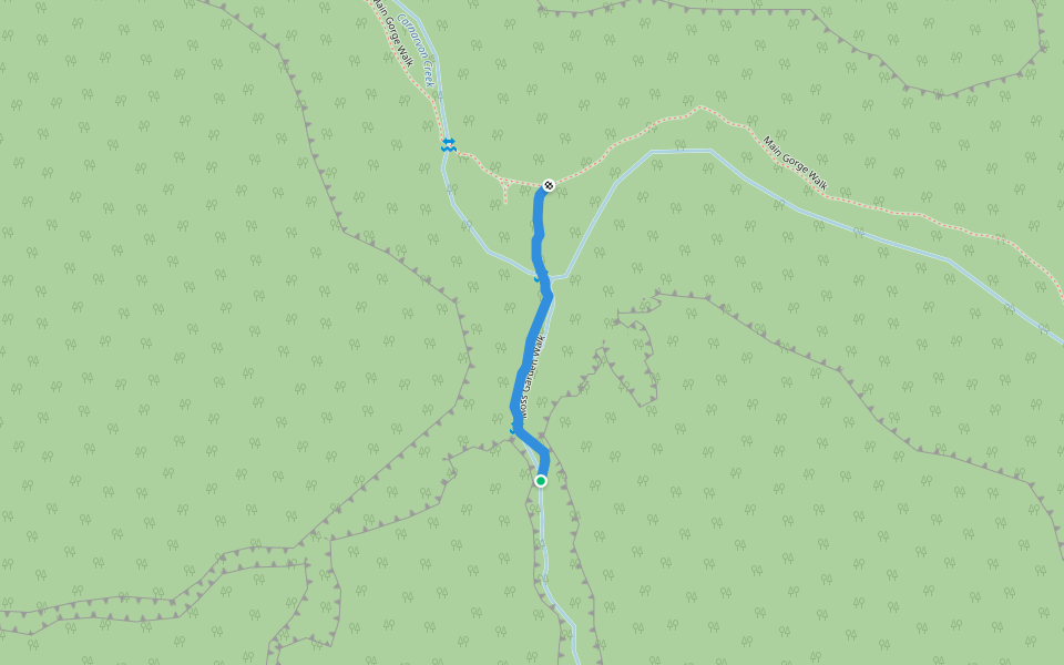 Moss Garden Walk walking route map in Carnarvon Park