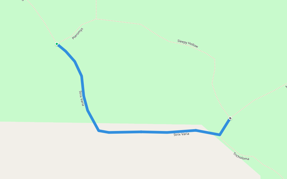 Strix Varia walking route map in Langley