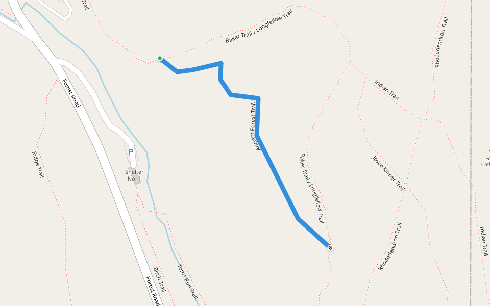 Ancient Forest Trail walking route map in Cooksburg