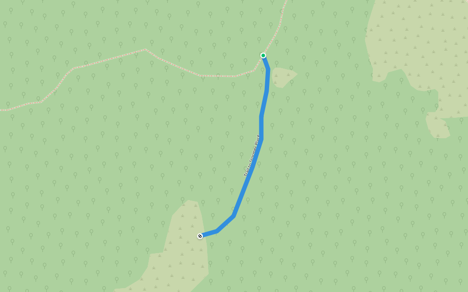 Trail to Stormer Place walking route map in Leland