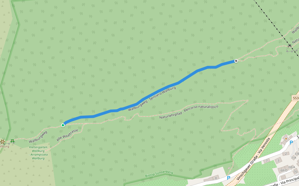 Wallburgweg Wallburg Trail Walking and Running Naturno, Trentino