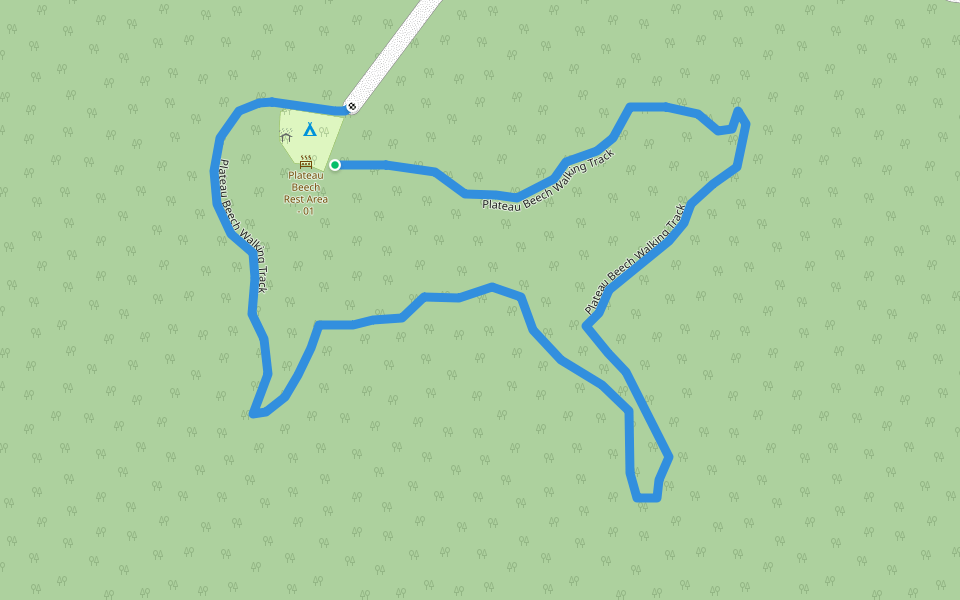 Plateau Beech Walking Track walking route map in Forbes River