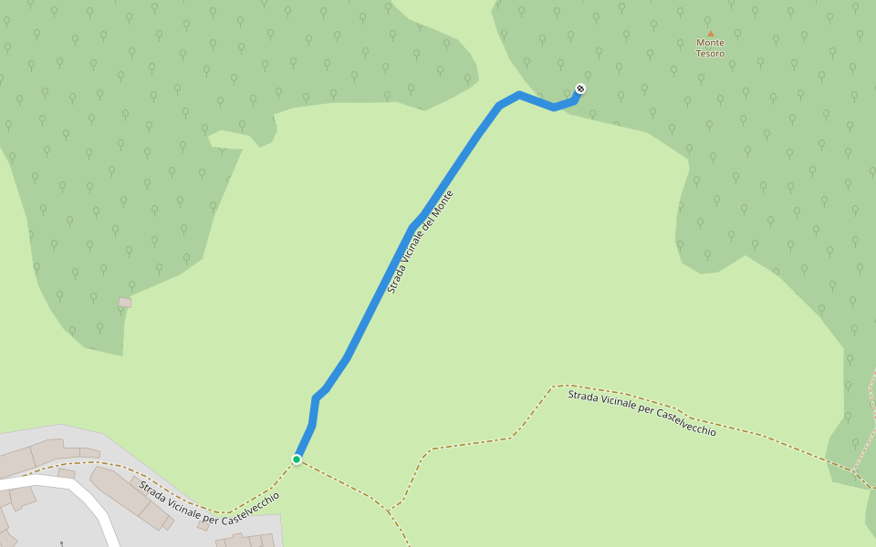 Strada Vicinale del Monte walking route map in Cocco