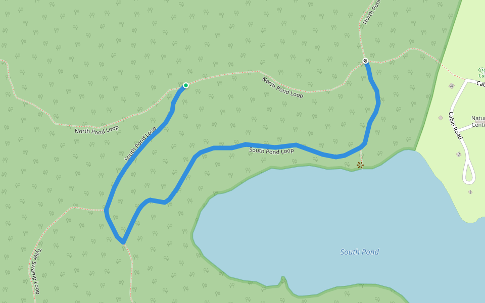 South Pond Loop walking route map in Savoy