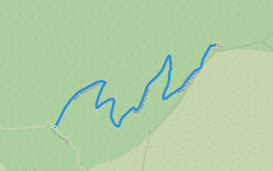 Miller Peak Trail #105 walking route map in Hereford