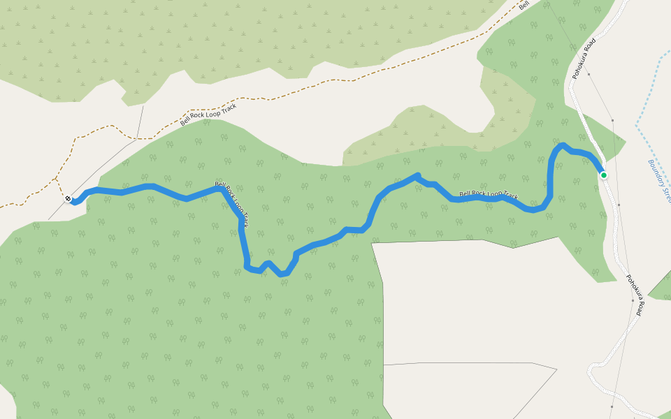 Bell Rock Loop Track walking route map in Tutira