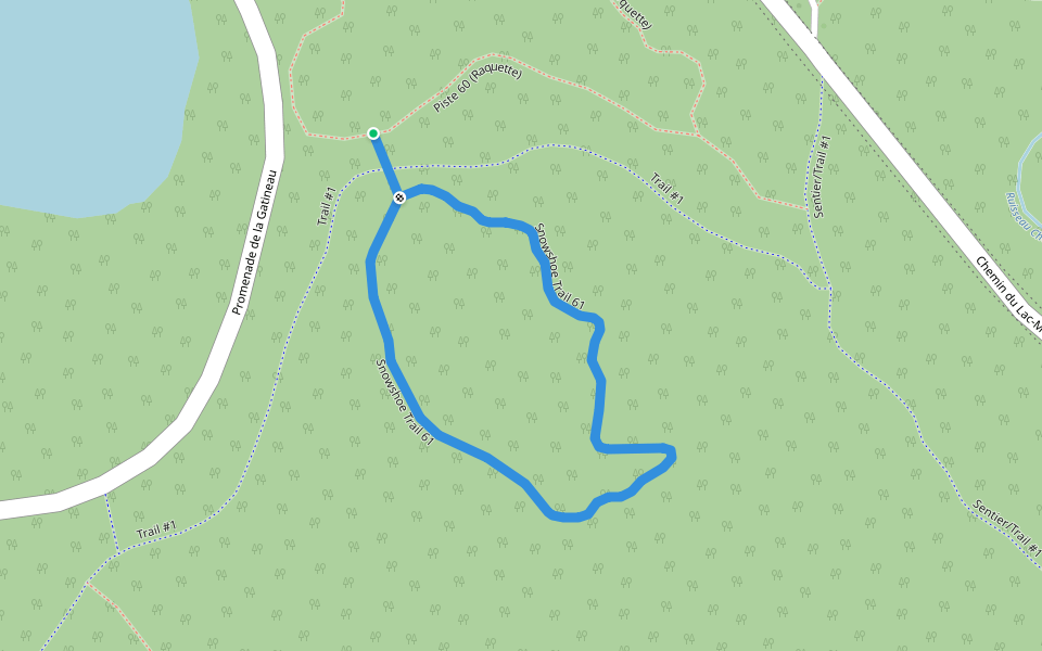 Snowshoe Trail 61 walking route map in Chelsea