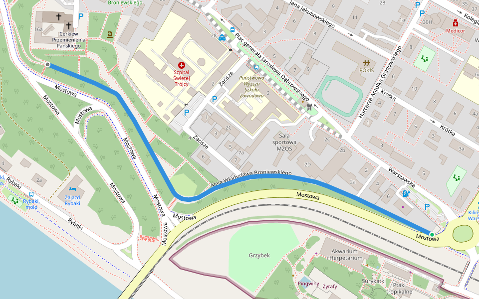 Aleja Władysława Broniewskiego walking route map in Płock