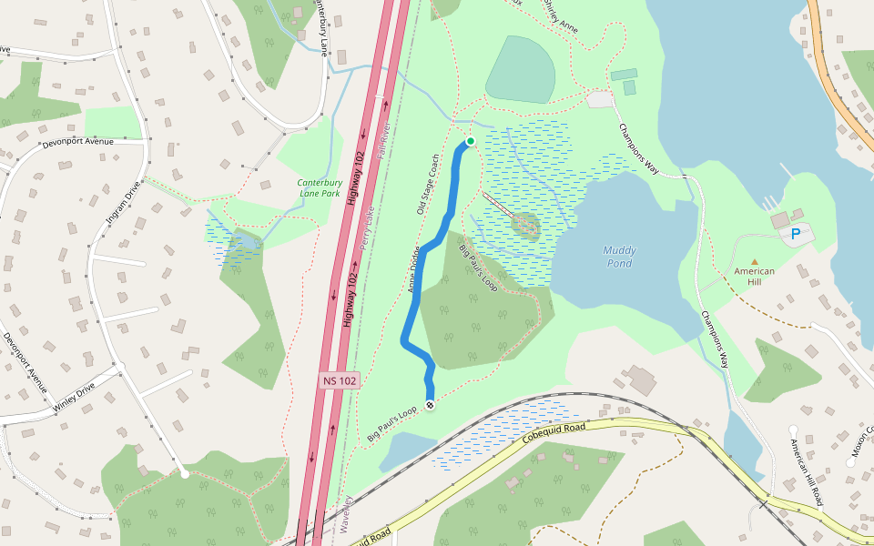 Anne Dodge walking route map in Waverley