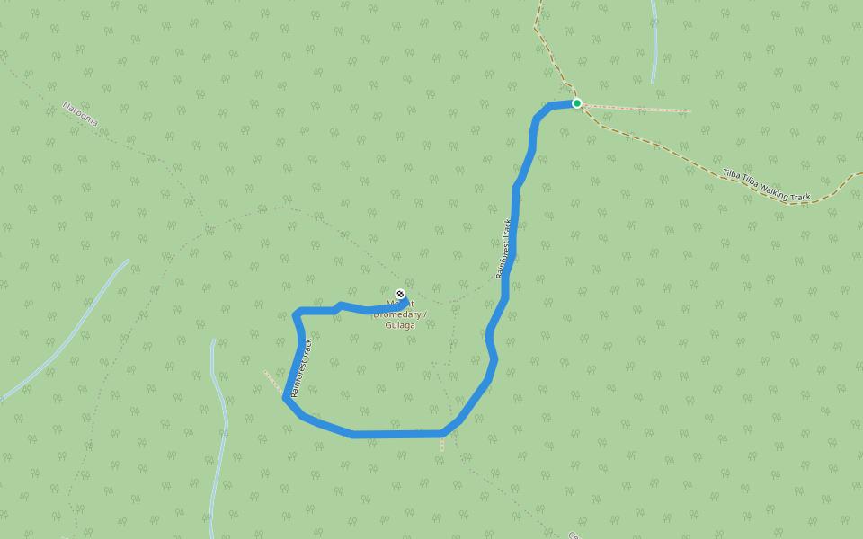 Rainforest Track walking route map in Central Tilba