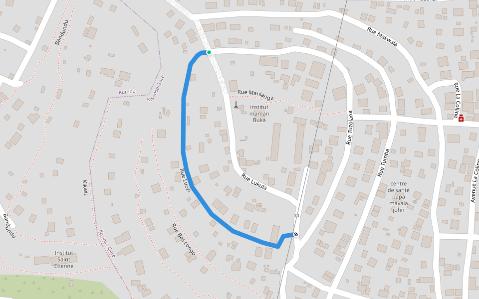 Rue Luozi walking route map in Kinshasa