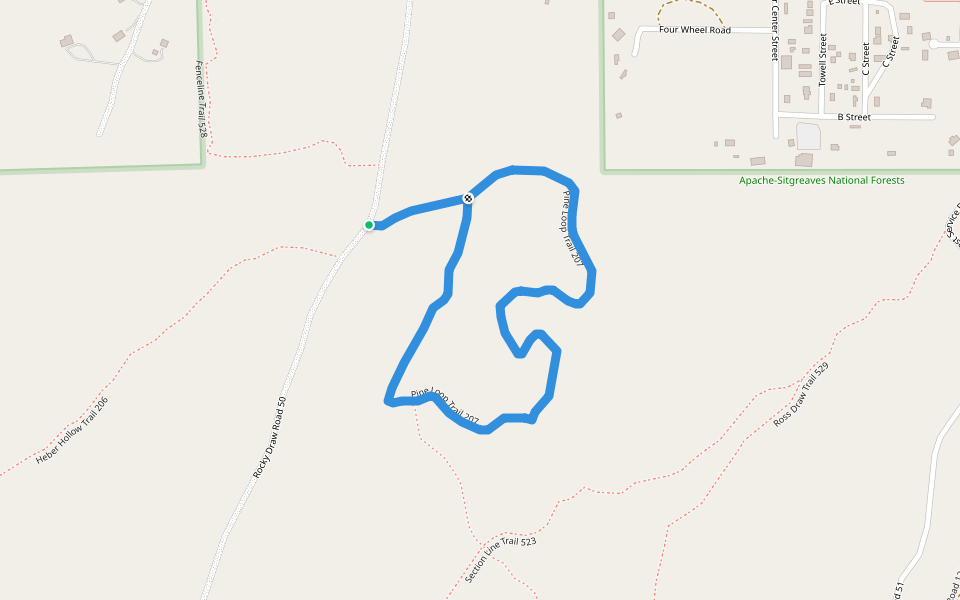 Pine Loop Trail 207 walking route map in Heber-Overgaard
