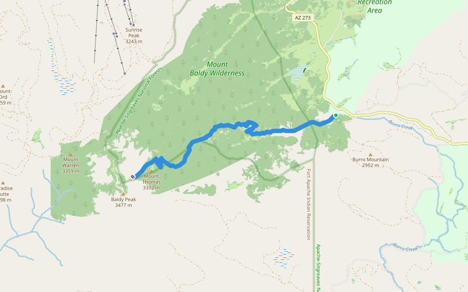 East Baldy Trail #95 walking route map in Greer